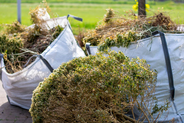 Best Junk Removal Near Me  in Grizzly Flats, CA